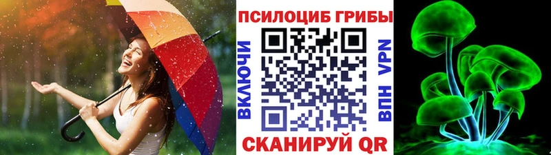 где купить   Отрадная  Псилоцибиновые грибы ЛСД 