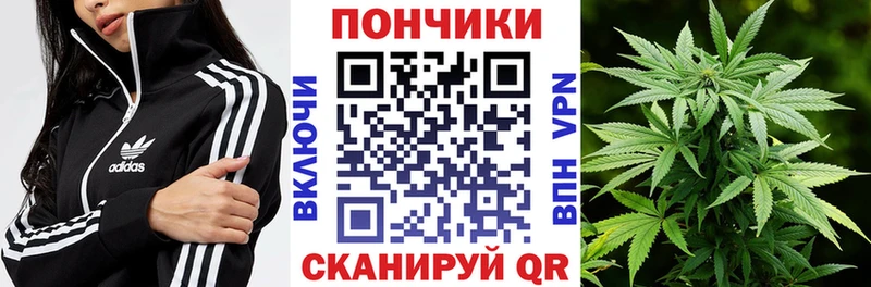 МАРИХУАНА конопля  купить   Отрадная 
